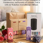 The Ultimate Zen Gift Hamper